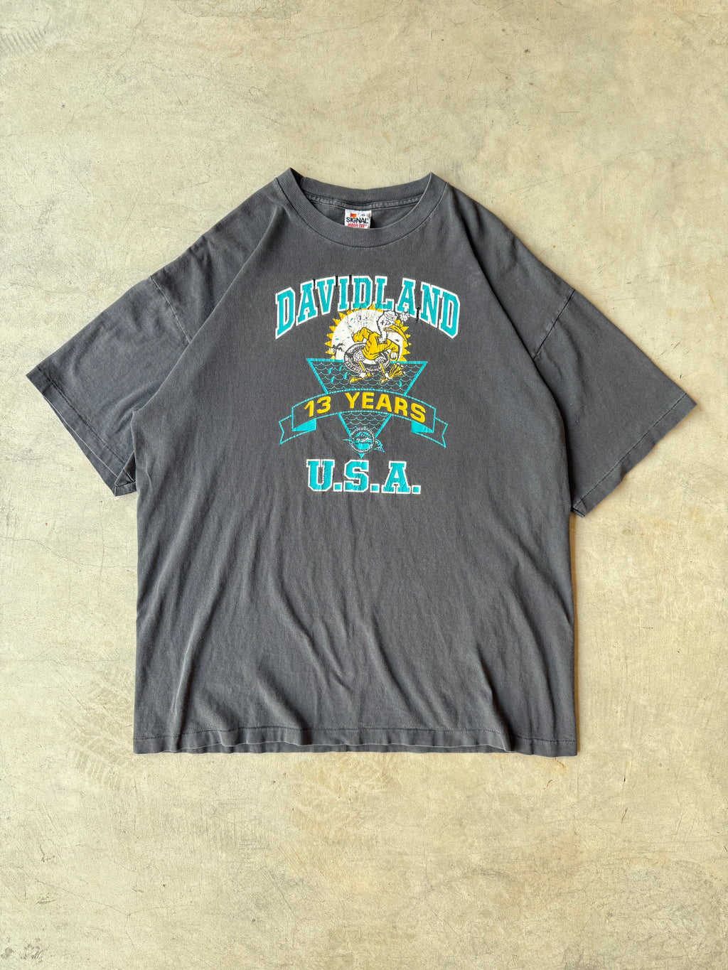 Vintage Davidland U.S.A Tee - XL