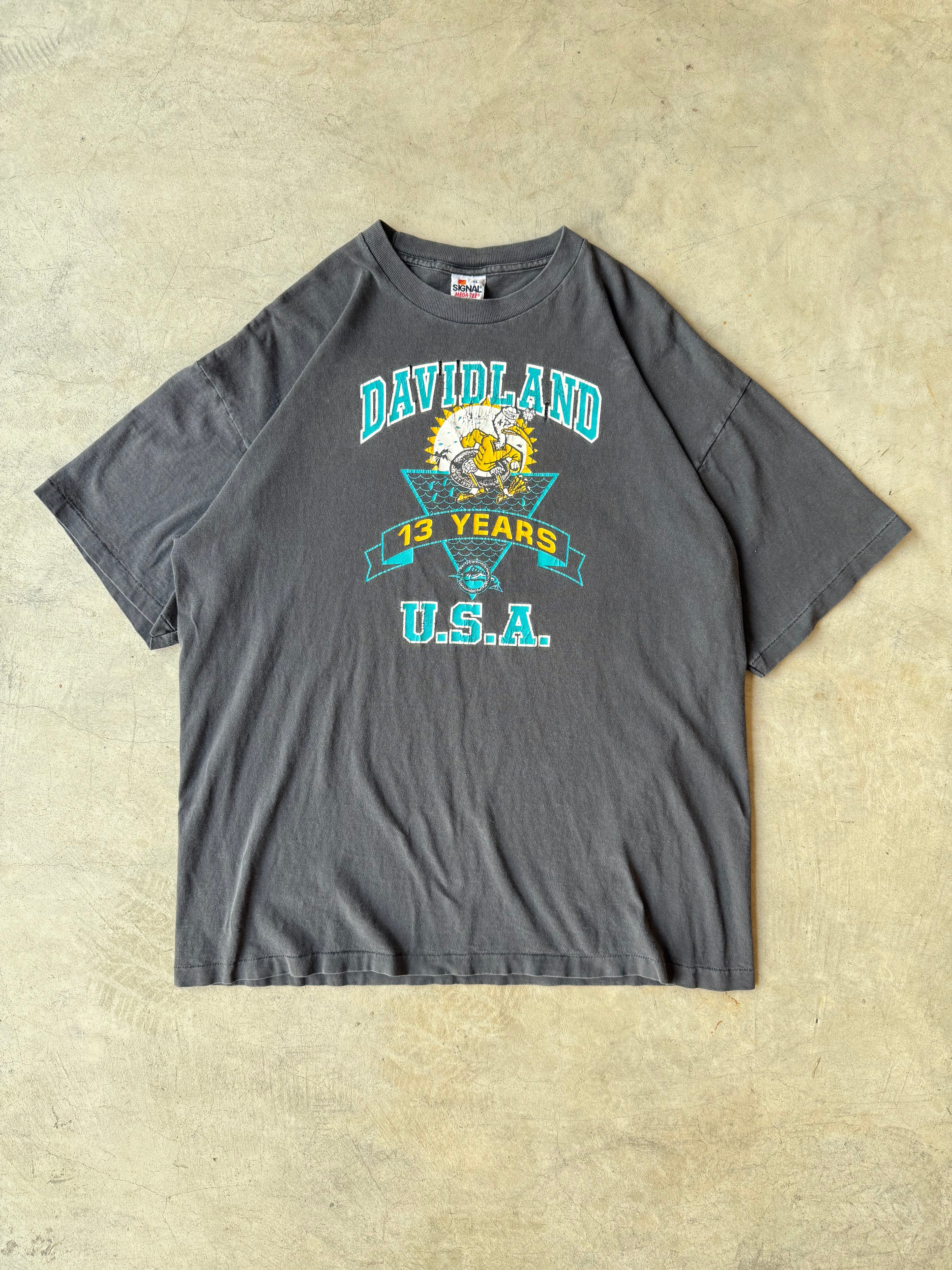 Vintage Davidland U.S.A Tee - XL