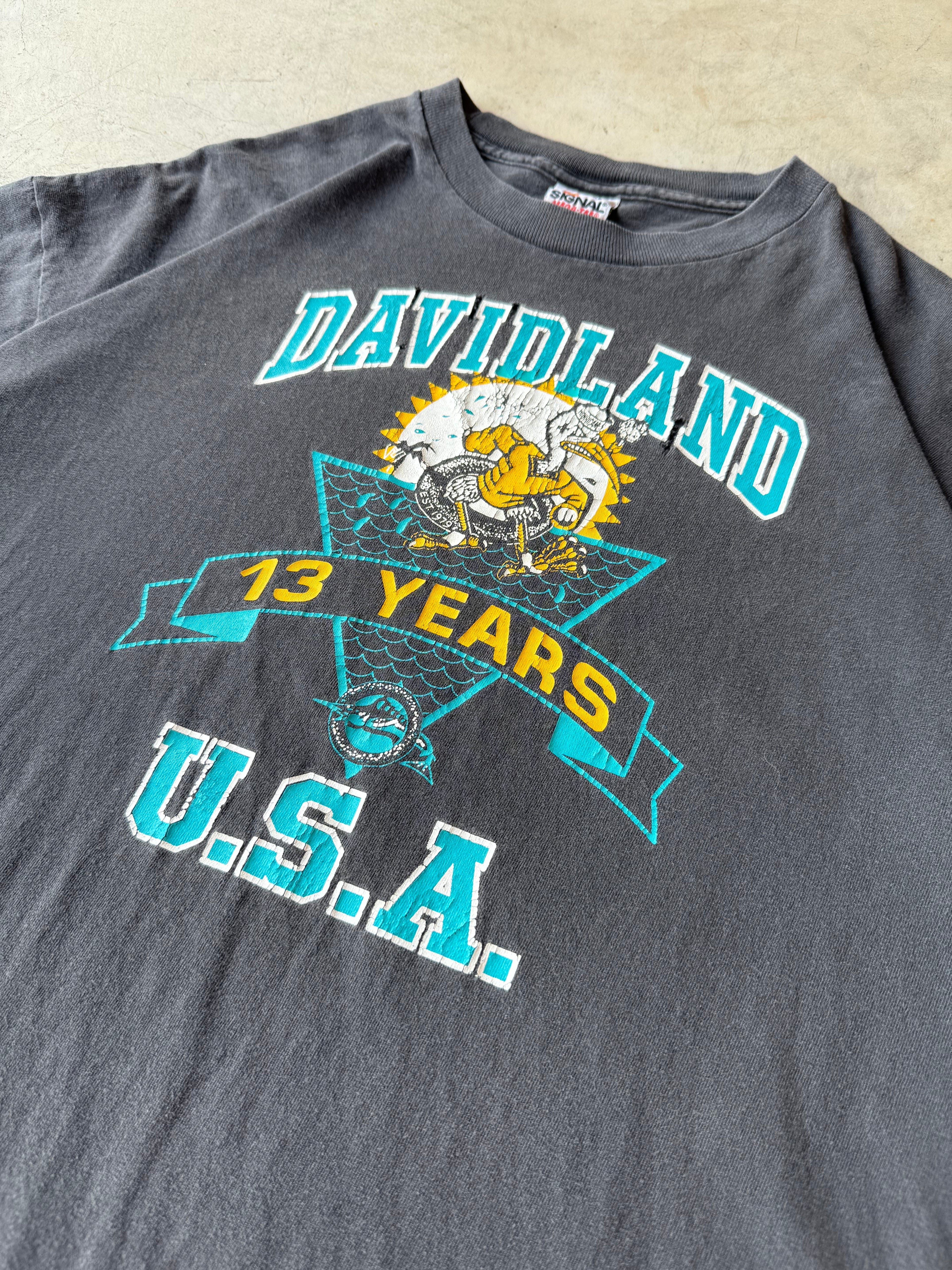 Vintage Davidland U.S.A Tee - XL